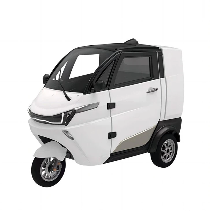 L5e Enclosed Cabin Type 3-wheel Pure Mini Takeaway Electric Car
