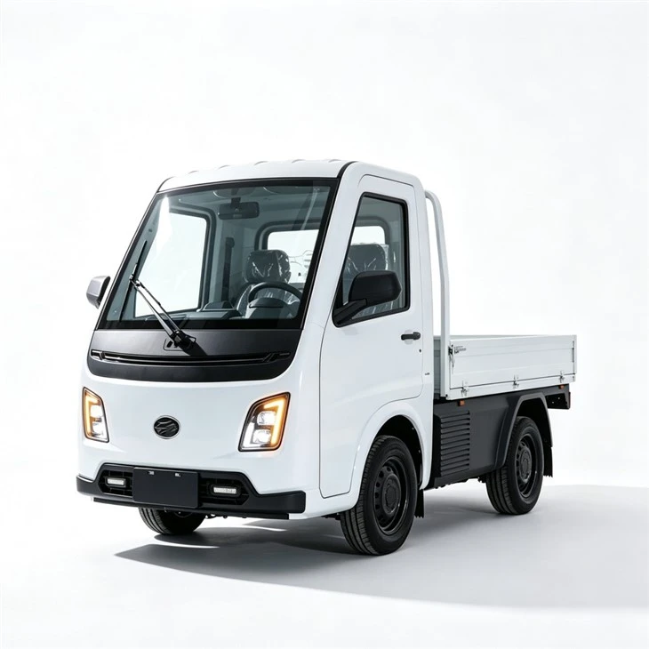 Mini EEC Travel Tools Three Wheel Electric Tricycle Scooter suppliers
