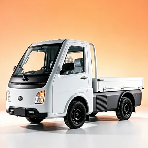 Mini EEC Travel Tools Three Wheel Electric Tricycle Scooter